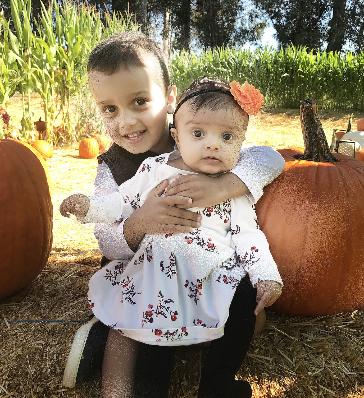 Pumpkin Patch